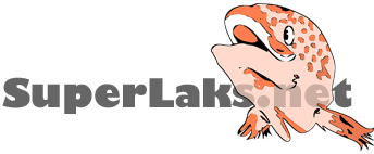 Logo SuperLaks.Net Webdesign